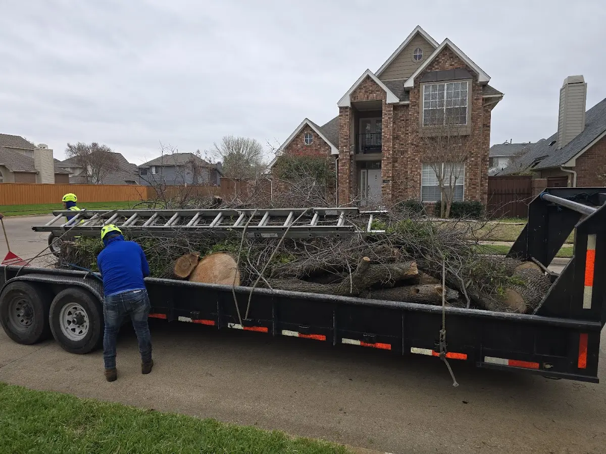 Expert Lot Clearing with proper safety equipment in Luna Pier